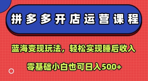 拼多多开店运营课程：蓝海变现玩法，轻松实现睡后收入，零基础小白也可日入5张-小艾网创