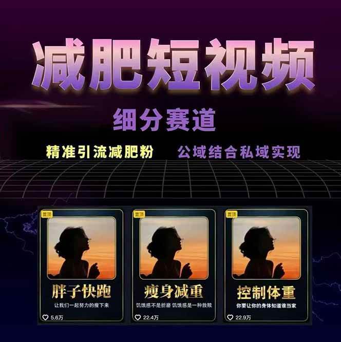 图片[2]-减肥短视频运营实战课：含素材制作、剪映教学，讲精准引流、变现设计与内容模板技巧-精品虚拟资源库