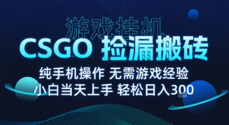 8月最新游戏搬砖，CSGO纯挂G，不需要玩游戏，实现真挂G，月入1W+【揭秘】-小艾网创