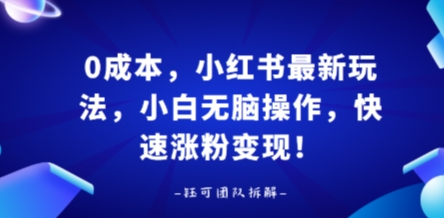 0成本，小红书最新玩法，小白无脑操作，快速涨粉变现-小艾网创