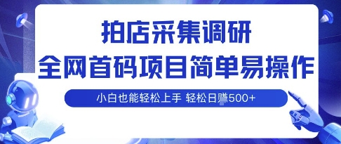 拍店采集调研，全网首码项目，简单易操作， 小白也能轻松上手，多账号操作，轻松日入5张【揭秘】-小艾网创