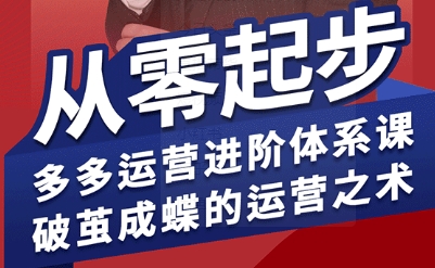 拼多多运营进阶系统课，从零起步，多多运营进阶体系课，破茧成蝶的运营之术(更新9月)-小艾网创