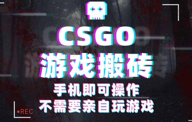 CSGO游戏挂机捡漏，单日扫货500+，年底小高峰上车可吃肉，手机即可操作…-小艾网创