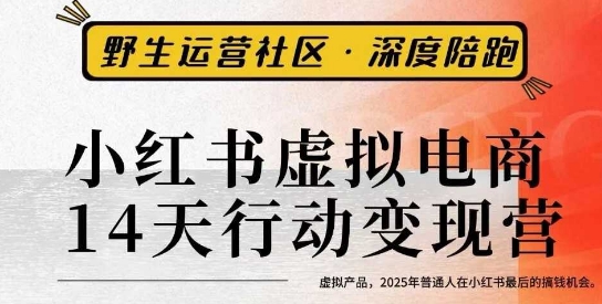 小红书虚拟电商14天变现训练营3.0，​虚拟产品，2025年普通人在小红书最后的搞钱机会-小艾网创