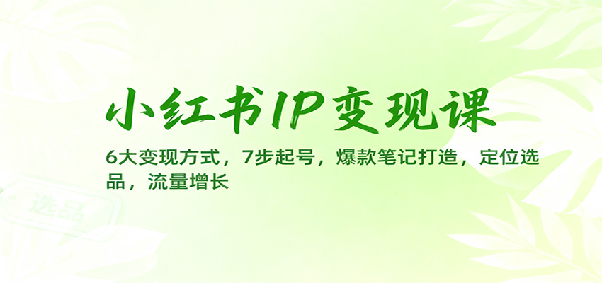 小红书IP变现课:6大变现方式,7步起号,爆款笔记打造,定位选品,流量增长-小艾网创