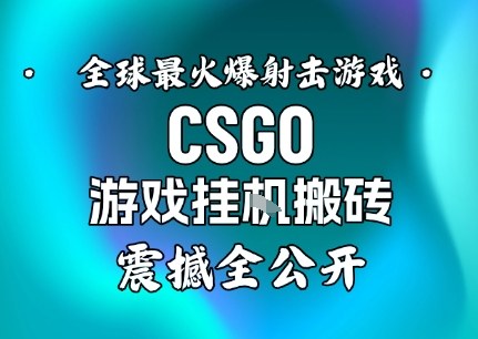 【年底大揭秘】基于全球最火爆的射击CSGO游戏挂G搬砖，日入5张+，震撼公开-小艾网创