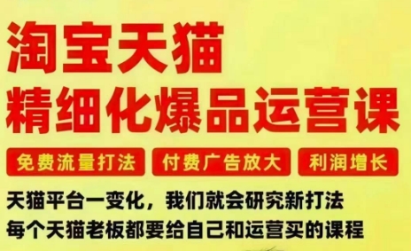 淘宝天猫精细化爆品运营课,免费流量打法-付费广告放大-利润增长-三大核心痛点,一次全部解决-小艾网创