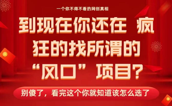 马上26年了，你还在找所谓的风口项目？别傻了，看完这个你全都懂了！【揭秘】-小艾网创