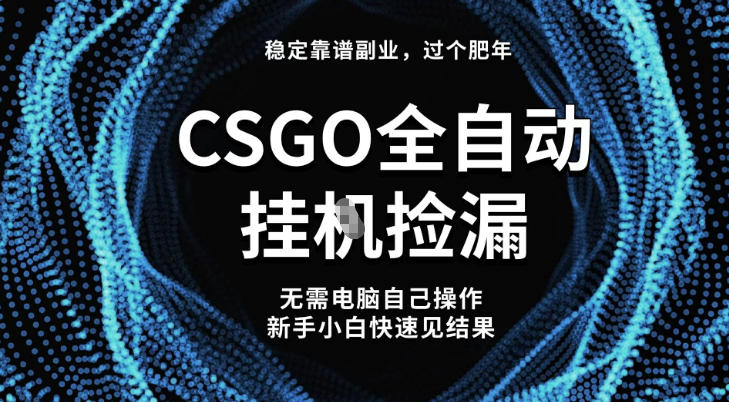 【稳定副业】全球最热门游戏CSGO全自动捡漏，最新玩法，新手小白日入5张+【揭秘】-小艾网创