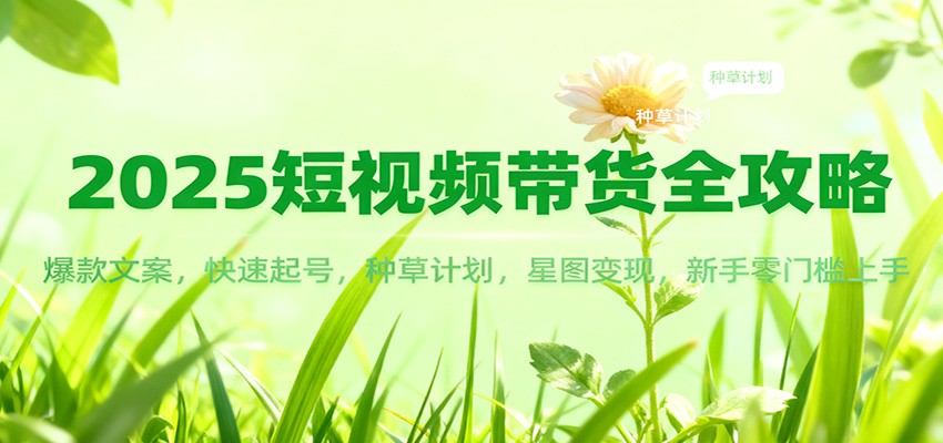 2025短视频带货全攻略：爆款文案，快速起号，种草计划，星图变现，新手零门槛上手-小艾网创