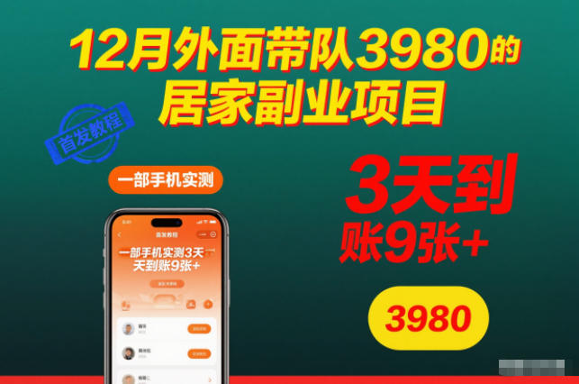 12月外面带队3980的居家副业项目,一部手机实测3天到账9张+,首发教程【揭秘】-小艾网创