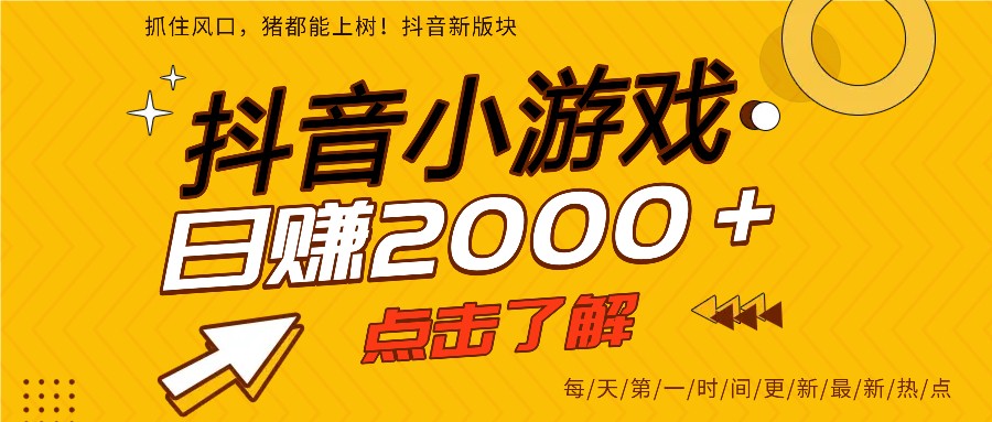 5年爆火的抖音小游戏项目,一部手机日入2000+-小艾网创