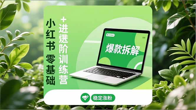 小红书零基础+高阶训练营：安全养号、爆款拆解、长效运营，实现稳定涨粉与变现-小艾网创