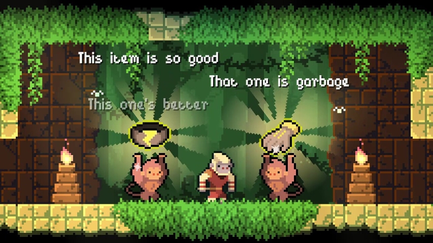 PC游戏《护林猿神 Dunjungle》中文+v1.0正式版-小艾网创