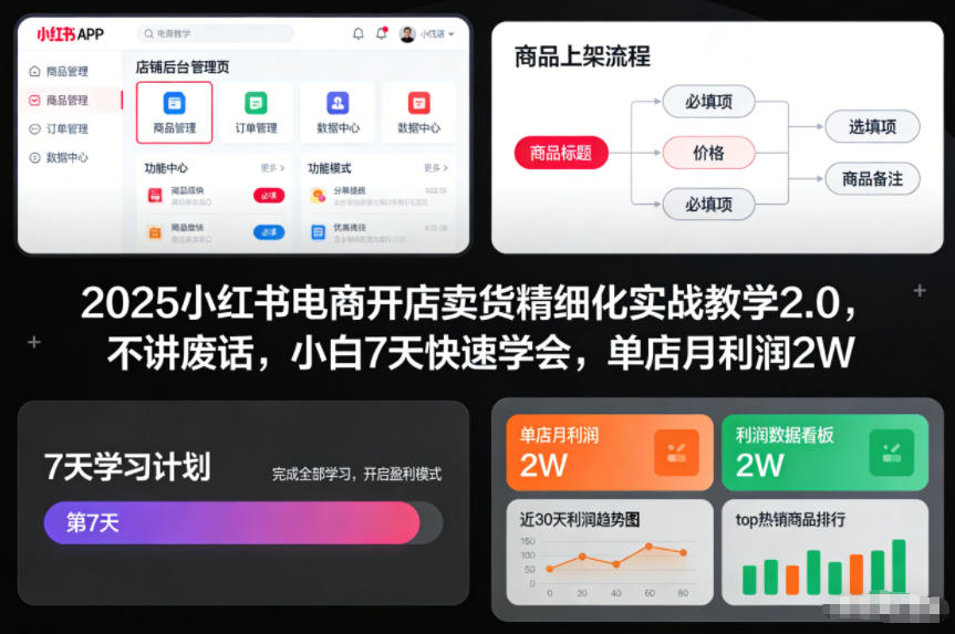 2025小红书电商开店卖货精细化实战教学2.0，不讲废话，小白7天快速学会，单店月利润2W-小艾网创