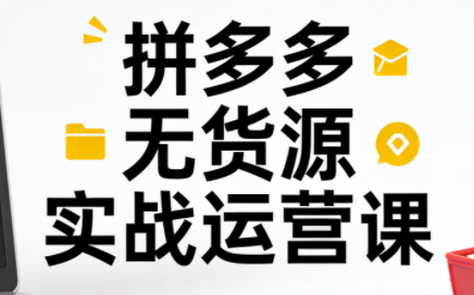 子枫老师·拼多多无货源实战运营课(更新12月)-小艾网创