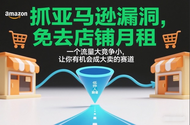 抓亚马逊漏洞，免去店铺月租，一个流量大竞争小，让你有机会成大卖的赛道-小艾网创
