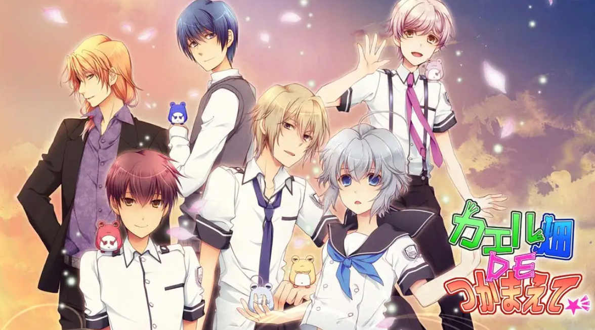 《蛙畑奇事 カエル畑DEつかまえて 乙女》Switch日文版XCI下载 – 含1.0.0补丁-小艾网创