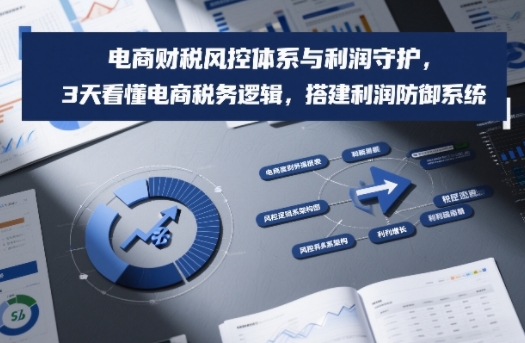 电商财税风控体系与利润守护，3天看懂电商税务逻辑，搭建利润防御系统-小艾网创