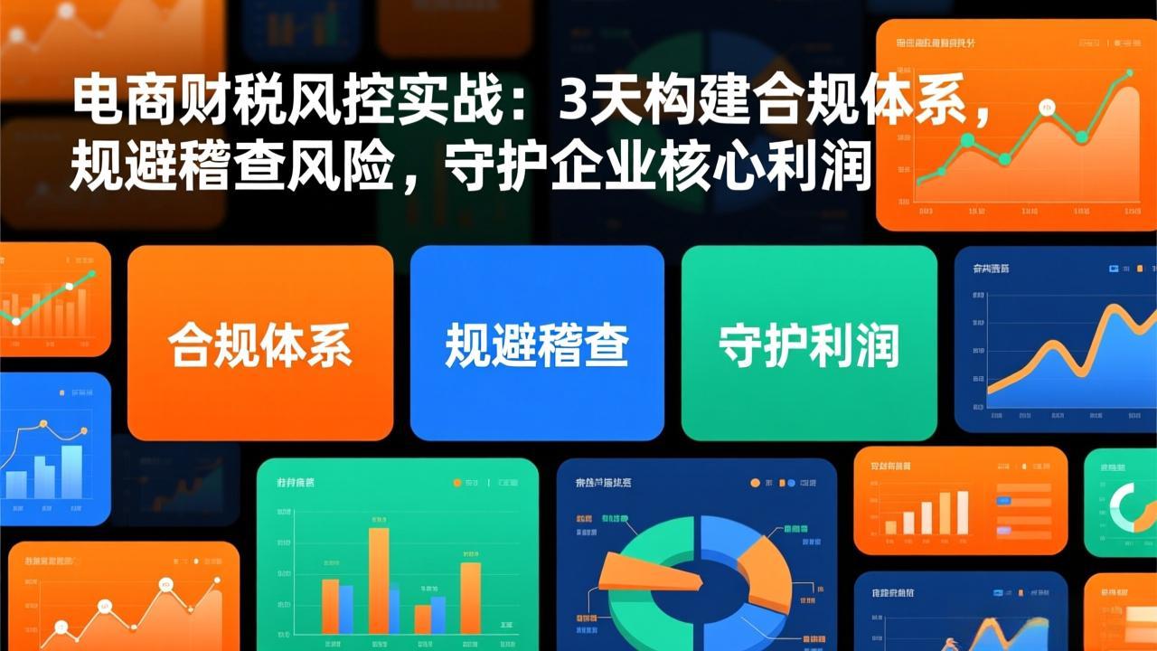 电商财税风控实战:3天构建合规体系,规避稽查风险,守护企业核心利润-小艾网创