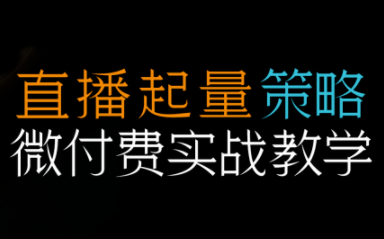 半野老师·直播带货起量与微付费必学课视频号(更新2026)-小艾网创