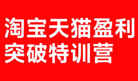 玺承·淘宝天猫盈利突破特训营(25年12月线下课)【音频+字幕】-小艾网创