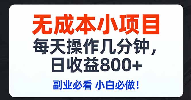 无成本小项目,每天操作几分钟,日收益800+ 副业必看 小白必做！-小艾网创