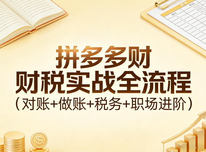 拼多多财税实战全流程(对账+做账+税务+职场进阶)-小艾网创