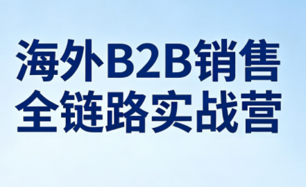 雨哥·海外B2B销售全链路实战营-小艾项目网