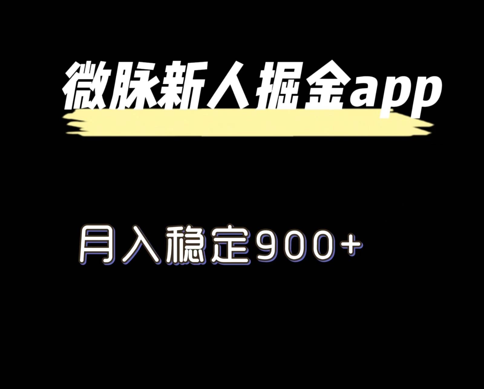 最新微脉长久项目，拉新掘金，月入稳定900+-小艾网创