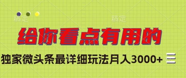 独家微头条最详细玩法，月入3000+【揭秘】-小艾网创