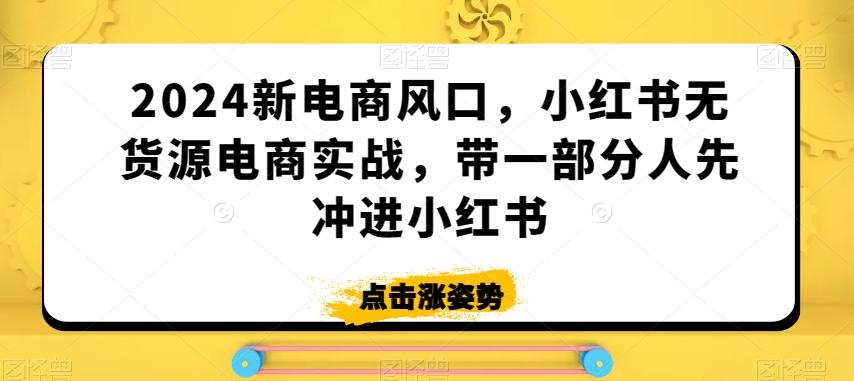 2024新电商风口，小红书无货源电商实战，带一部分人先冲进小红书-小艾网创