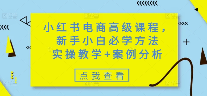 小红书电商高级课程，新手小白必学方法，实操教学+案例分析-小艾网创