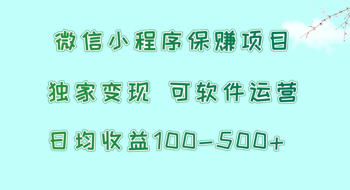 微信小程序保赚项目，日均收益100~500+，独家变现，可软件运营-小艾网创