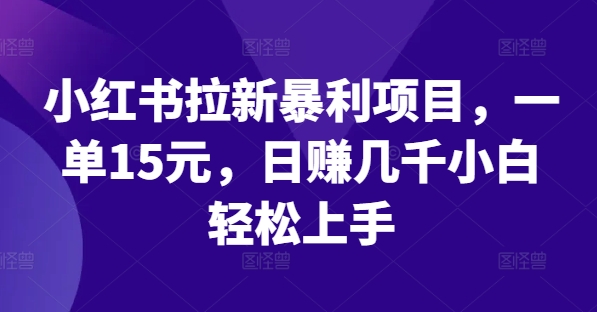 小红书拉新暴利项目，一单15元，日赚几千小白轻松上手【揭秘】-小艾网创