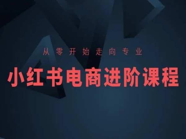 从零开始走向专业，小红书电商进阶课程-小艾网创