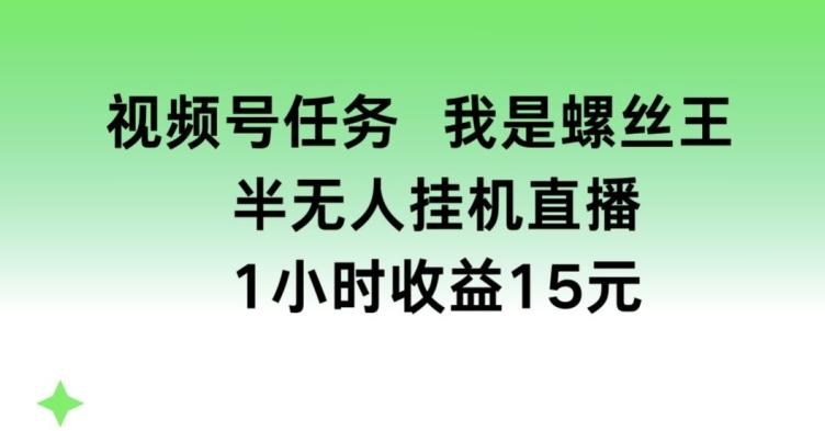 视频号任务，我是螺丝王， 半无人挂机1小时收益15元【揭秘】-小艾网创