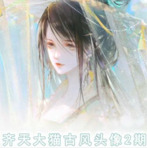 齐天大猫古风头像课第2期，帮助您提高您的绘画技能-小艾网创