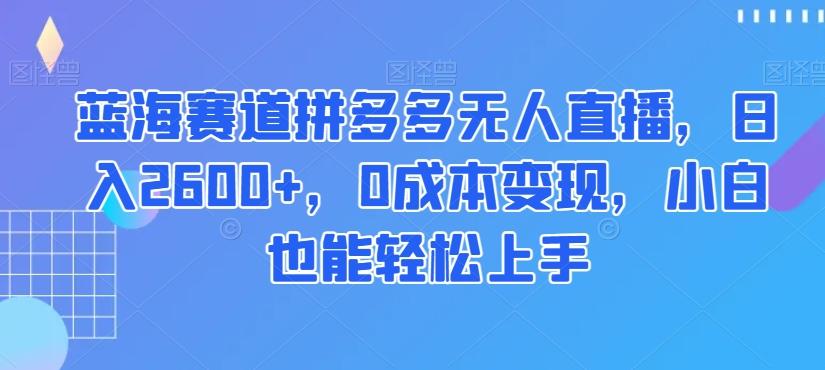 蓝海赛道拼多多无人直播，日入2600+，0成本变现，小白也能轻松上手【揭秘】-小艾网创