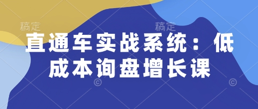 直通车实战系统：低成本询盘增长课，让个人通过技能实现升职加薪，让企业低成本获客，订单源源不断-小艾网创