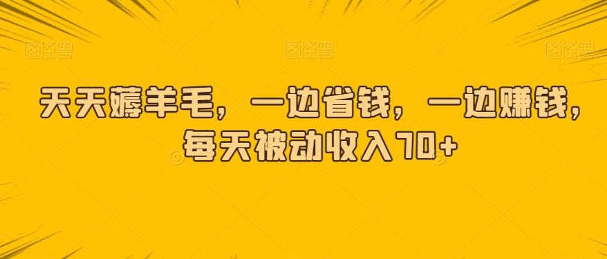 天天薅羊毛，一边省钱，一边赚钱，每天被动收入70+-小艾网创