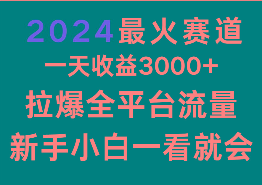 2024最火赛道，一天收一3000+.拉爆全平台流量，新手小白一看就会-小艾网创