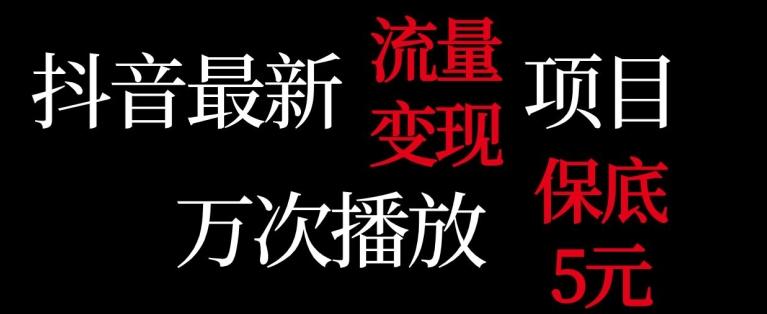 抖音流量变现，万次播放保底5元，额外收入-小艾网创