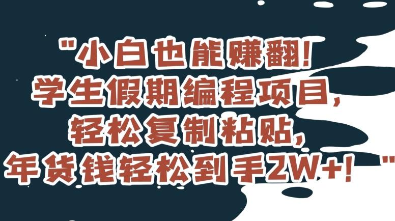 小白也能赚翻！学生假期编程项目，轻松复制粘贴，年货钱轻松到手2W+【揭秘】-小艾网创
