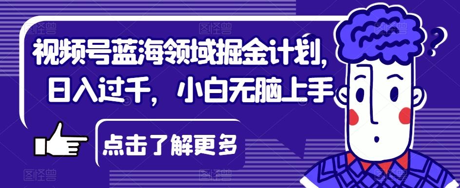视频号蓝海领域掘金计划，日入过千，小白无脑上手【揭秘】-小艾网创