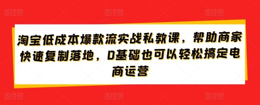 淘宝低成本爆款流实战私教课，帮助商家快速复制落地，0基础也可以轻松搞定电商运营-小艾网创