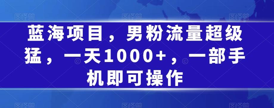 蓝海项目，男粉流量超级猛，一天1000+，一部手机即可操作【揭秘】-小艾网创