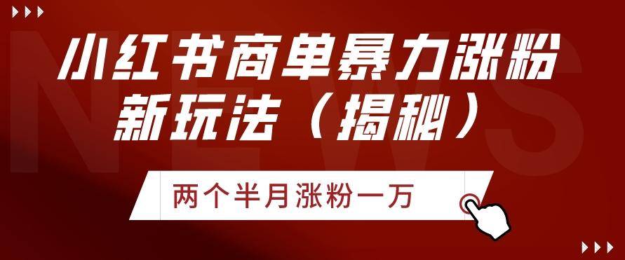 小红书商单暴力涨粉新玩法两个半月涨粉一万（揭秘）-小艾网创
