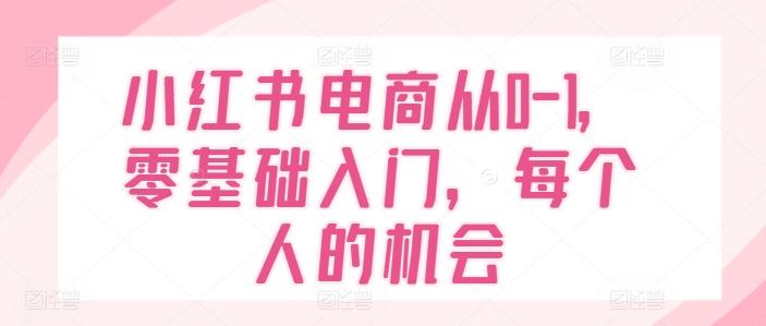 小红书电商从0-1，零基础入门，每个人的机会-小艾网创