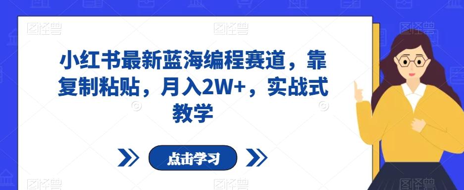 小红书最新蓝海编程赛道，靠复制粘贴，月入2W+，实战式教学【揭秘】-小艾网创